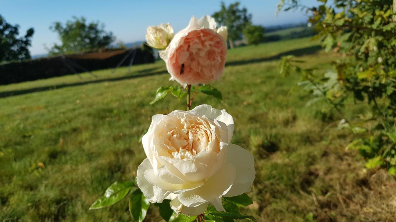 Belle Visnonia B&B Gluten Free & Traditional Béganne Exterior foto